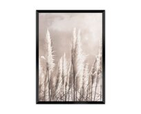 Dekoria Obrázek Grass, 30 x 40 cm