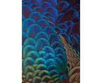 Dekoria Obraz na plátně Multicolor Feathers, 35 x 50 cm