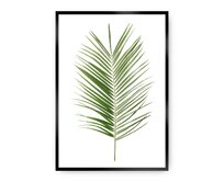 Dekoria Plakát Palm Leaf Green, 21 x 30 cm, Vybrat rám: Černý