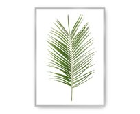Dekoria Plakát Palm Leaf Green, 21 x 30 cm, Vybrat rám: Stříbrný