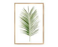 Dekoria Plakát Palm Leaf Green, 21 x 30 cm, Vybrat rám: Zlatý