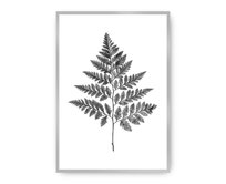 Dekoria Plakát Fern Grey, 21 x 30 cm, Ramka: Srebrna