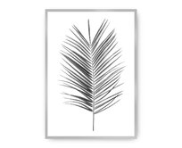 Dekoria Plakát Palm Leaf Green, 30 x 40 cm, Vybrat rám: Stříbrný