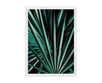 Dekoria Plakát Dark Palm Tree, 21 x  30 cm, Volba rámku: Bílý