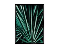 Dekoria Plakát Dark Palm Tree, 40 x 50 cm, Volba rámku: Černý