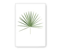 Dekoria Plakát Tropical Leaf Green, 50 x 70 cm, Vybrat rám: Bílý