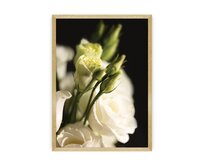Dekoria Plakát Dark Flowers I, 50 x 70 cm, Volba rámku: Zlatý