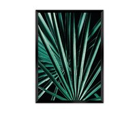 Dekoria Plakát Dark Palm Tree, 70 x 100 cm, Volba rámku: Černý