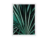 Dekoria Plakát Dark Palm Tree, 70 x 100 cm, Volba rámku: Bílý