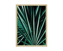 Dekoria Plakát Dark Palm Tree, 70 x 100 cm, Volba rámku: Zlatý