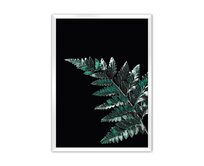 Dekoria Plakát Dark Fern Leaf, 70 x 100 cm, Volba rámku: Bílý