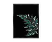 Dekoria Plakát Dark Fern Leaf, 70 x 100 cm, Volba rámku: Černý