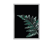 Dekoria Plakát Dark Fern Leaf, 70 x 100 cm, Volba rámku: Stříbrný