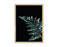 Dekoria Plakát Dark Fern Leaf, 70 x 100 cm, Volba rámku: Zlatý