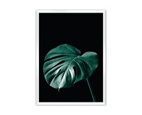 Dekoria Plakát Dark Monstera, 70 x 100 cm, Volba rámku: Bílý