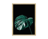 Dekoria Plakát Dark Monstera, 70 x 100 cm, Volba rámku: Zlatý