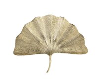 Dekoria Nástěnná dekorace Ginkgo Gold II výška 59cm, 76 x 7,5 x 59 cm