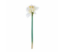 Dekoria Květina um. Amaryllis White 75cm, 75 cm