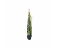 Dekoria Dekorace z trávy Pampas Gras 100cm, 100 cm