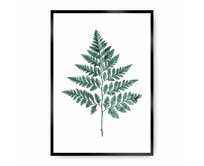 Dekoria Plakát Fern Emerald Green, 21 x 30 cm, Ramka: Czarna