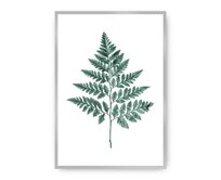 Dekoria Plakát Fern Emerald Green, 21 x 30 cm, Ramka: Srebrna