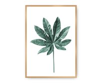 Dekoria Plakát Leaf Emerald Green, 30 x 40 cm, Ramka: Złota