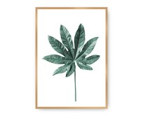 Dekoria Plakát  Leaf Emerald Green, 30 x 40 cm, Ramka: Złota