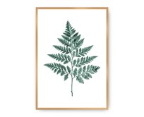 Dekoria Plakát Fern Emerald Green, 40 x 50 cm, Ramka: Złota