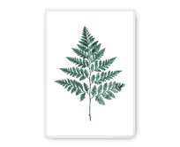 Dekoria Plakát Fern Emerald Green, 50 x 70 cm, Ramka: Biała