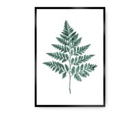 Dekoria Plakát Fern Emerald Green, 50 x 70 cm, Ramka: Czarna