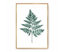 Dekoria Plakát Fern Emerald Green, 50 x 70 cm, Ramka: Złota