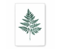 Dekoria Plakát Fern Emerald Green, 70 x 100 cm, Ramka: Biała