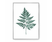 Dekoria Plakát Fern Emerald Green, 70 x 100 cm, Ramka: Srebrna