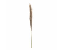Dekoria Větvička Pampas Grass 130cm, 130 cm