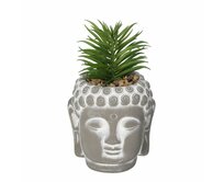 Dekoria Dekorace Succulent I Buddha 17cm, 10 x 10 x 17 cm