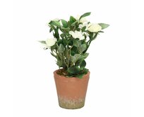 Dekoria Dekorace White Rose 24cm, 9 x 9 x 24 cm