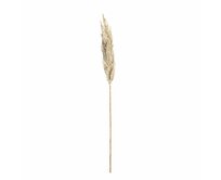Dekoria Větvička pampové trávy 90cm cream, 8 x 8 x 90 cm