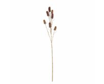 Dekoria Okrasný bodlák 110cm red beige, 5 x 5 x 110 cm