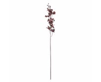 Dekoria Orchidea 100cm dark plum, 10 x 10 x 100 cm