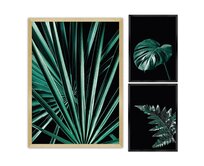 Dekoria Sada obrázků Botanica 3ks., 70x100cm/ 40x50cm