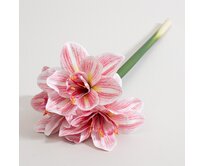 Dekoria Umělá květina Amarylis 62 cm pink, 15x62 cm
