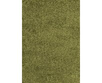 Ayyildiz koberce Kusový koberec Dream Shaggy 4000 green - 160x230 cm Zelená, Velké (190x270 cm a větší), Syntetický (umělý)