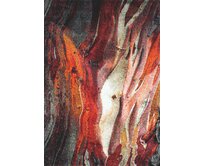 Spoltex koberce Liberec Kusový koberec Rust red 21304-910 - 80x150 cm Vícebarevná, Velké (190x270 cm a větší), Syntetický (umělý)