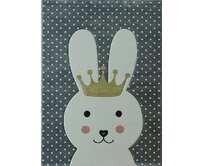 Berfin Dywany Dětský kusový koberec Smart Kids 22414 Grey - 160x230 cm Šedá, Střední (80x160 - 164x240), Syntetický (umělý)