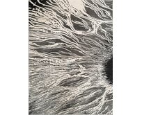 Berfin Dywany Kusový koberec Elite 8752 Grey - 80x150 cm Šedá, Velké (190x270 cm a větší), Syntetický (umělý)