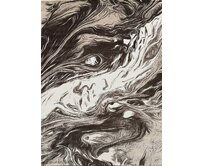 Berfin Dywany Kusový koberec Vals 8003 Beige - 160x230 cm Hnědá, Velké (190x270 cm a větší), Syntetický (umělý)