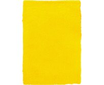Kusový koberec Spring Yellow - 160x230 cm Žlutá, Střední (80x160 - 164x240), Syntetický (umělý)