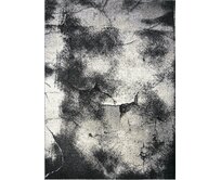 Berfin Dywany Kusový koberec Maksim 8603 Beige Grey - 120x180 cm Šedá, Střední (80x160 - 164x240), Syntetický (umělý)