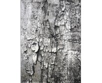 Berfin Dywany Kusový koberec Maksim 8606 Beige Grey - 120x180 cm Šedá, Střední (80x160 - 164x240), Syntetický (umělý)