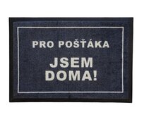 Rohožka pro poštu 40x60 cm - 40x60 cm Šedá, Malé (80x150 cm a menší), Syntetický (umělý)